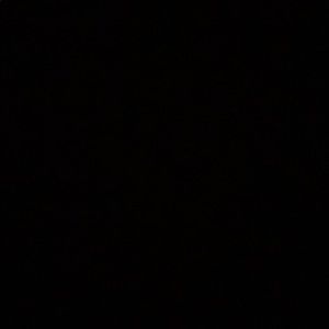 Meet your Posher, Daisy